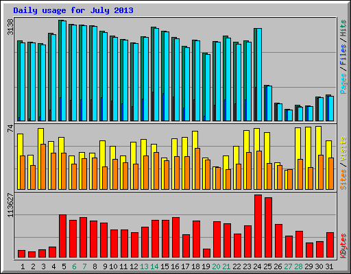 Daily usage for July 2013