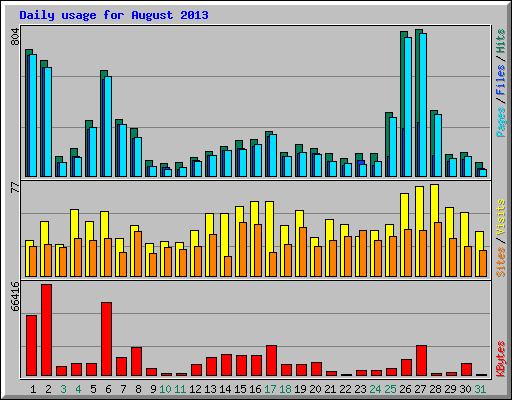 Daily usage for August 2013