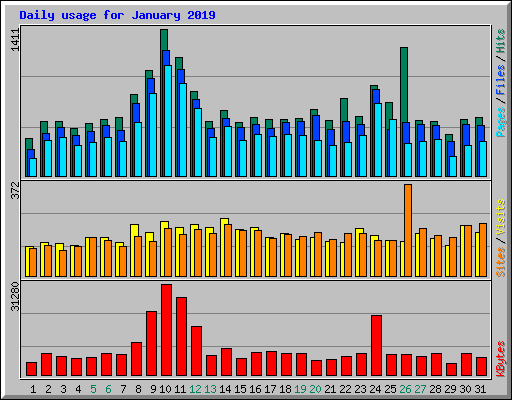 Daily usage for January 2019