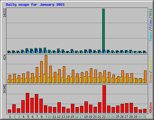 Daily usage for January 2021