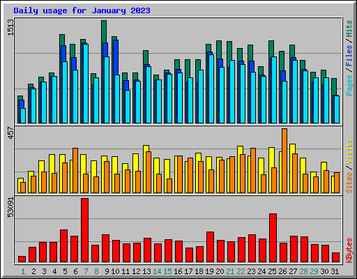 Daily usage for January 2023