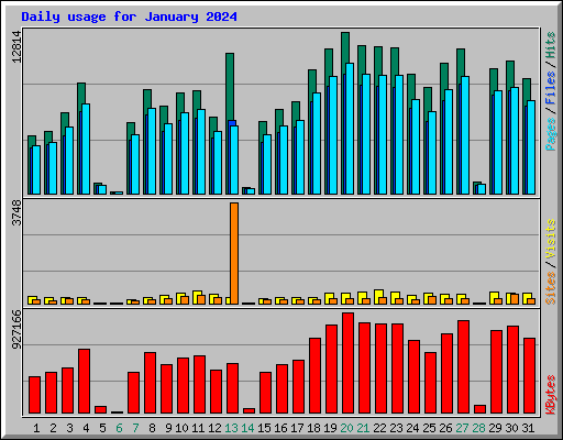 Daily usage for January 2024