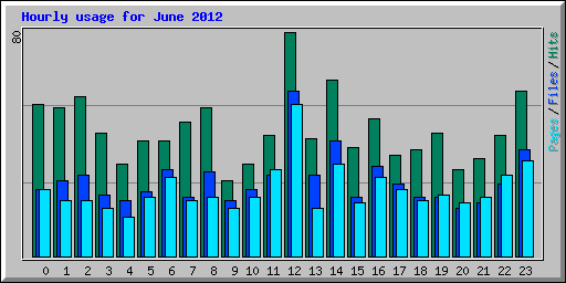 Hourly usage for June 2012