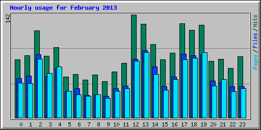 Hourly usage for February 2013