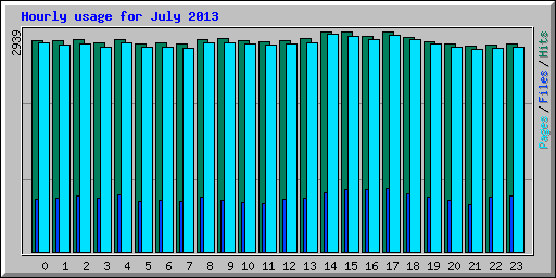 Hourly usage for July 2013
