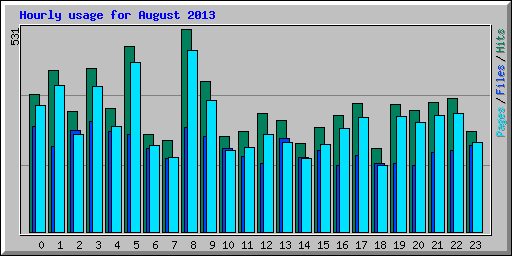 Hourly usage for August 2013