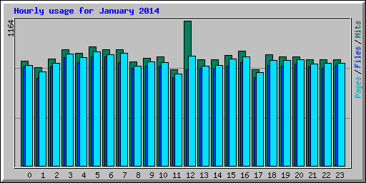 Hourly usage for January 2014