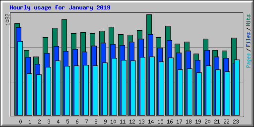 Hourly usage for January 2019