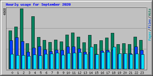 Hourly usage for September 2020