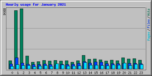 Hourly usage for January 2021