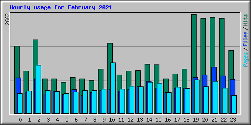 Hourly usage for February 2021