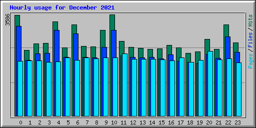 Hourly usage for December 2021