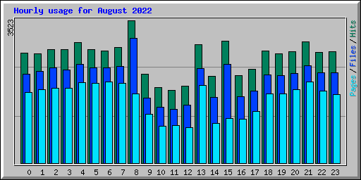 Hourly usage for August 2022