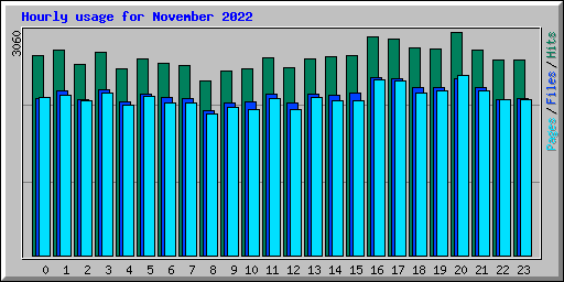 Hourly usage for November 2022
