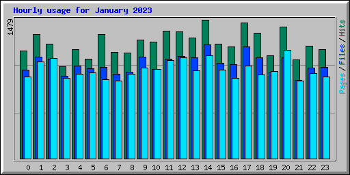 Hourly usage for January 2023