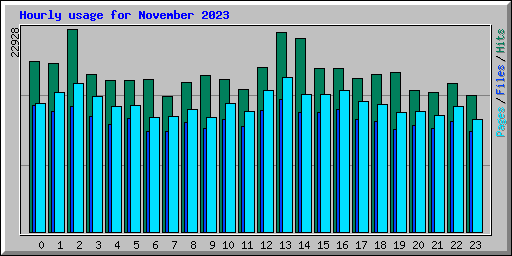 Hourly usage for November 2023