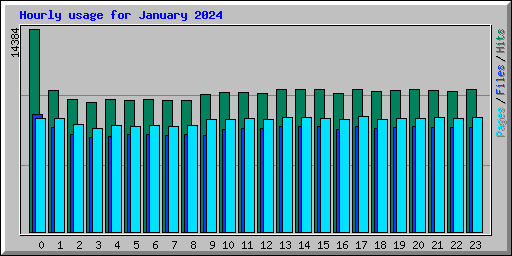 Hourly usage for January 2024